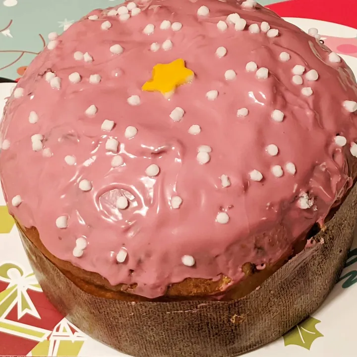 Mi primer panettone
